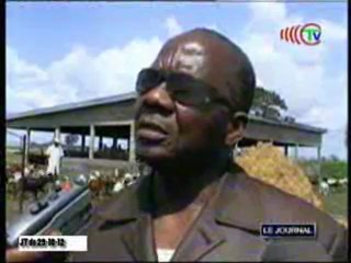 Vers la mise en pratique de l’opération métayage bovin