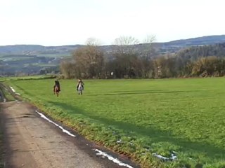Petit galop en champ :D