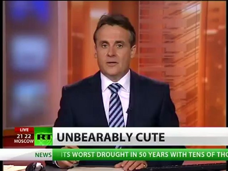 Cute bears found in box rescued, make pals with camels at zoo