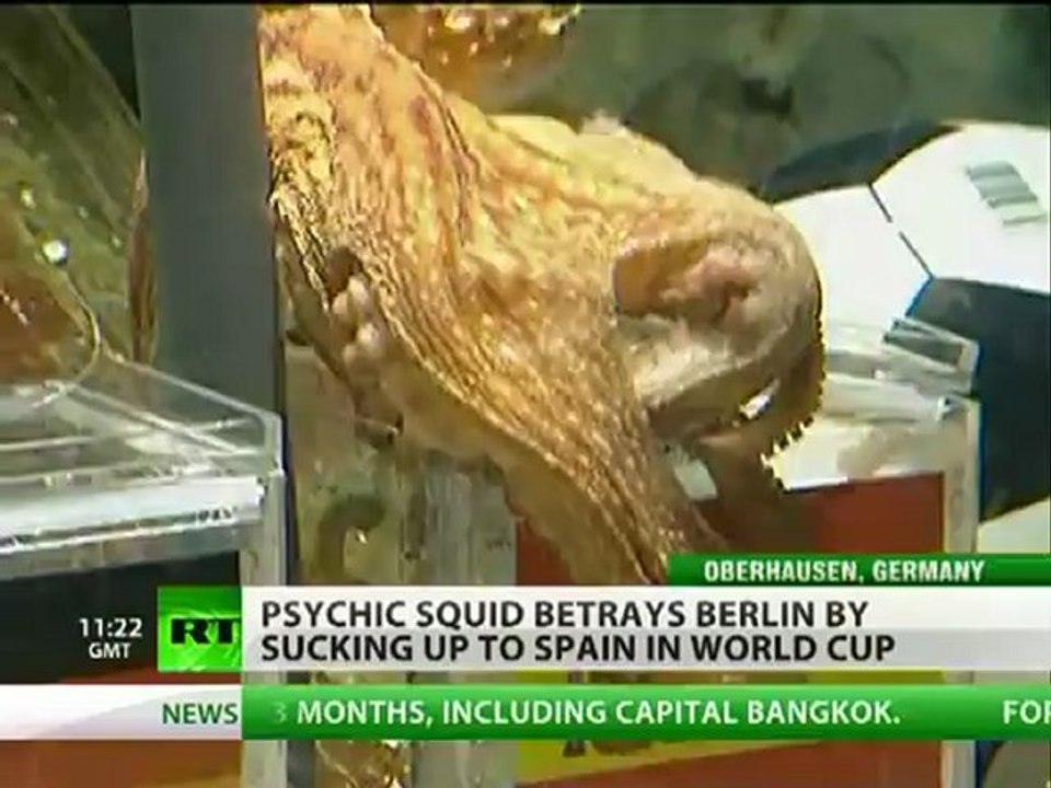 Oracle Paul 'Psychic' Octopus puts Spain, not Germany to WC final