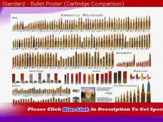 "American Standard - Bullet Poster (Cartridge Comparison)"