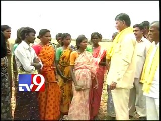 Chandrababu's padayatra will solve T-issue - Chokka Ramaiah