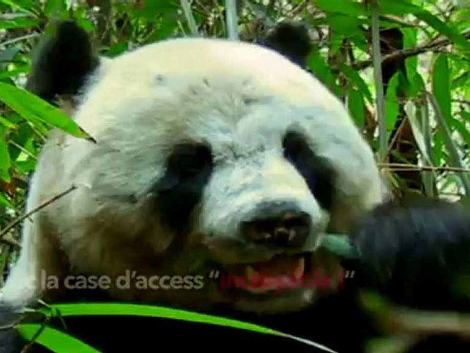 La bande-annonce de 6ter