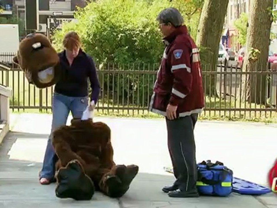 Juste pour rire - Castor empaillé