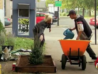 Arbre à croissance magique*