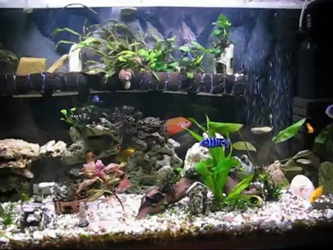 Sylvania Aquastar T5 Floresan 24w 39w 54w