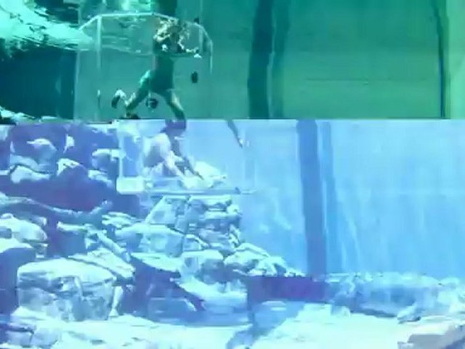 МОТИКА: Нуркање во аквариум со опасен крокодил