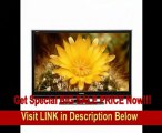 Sharp Aquos LC52D85U 52-Inch 1080p 120Hz LCD HDTV