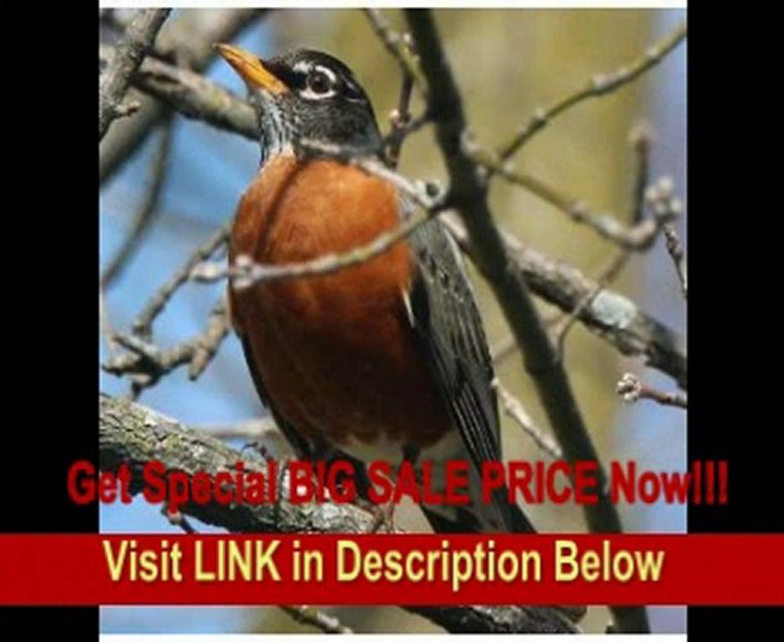 Canon EF 400mm f/4 DO IS USM Super Telephoto Lens for Canon SLR Cameras&nbsp