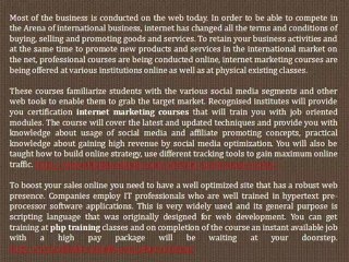 Learn To Sell and Promote Products and Services on the Web for a Professional Career