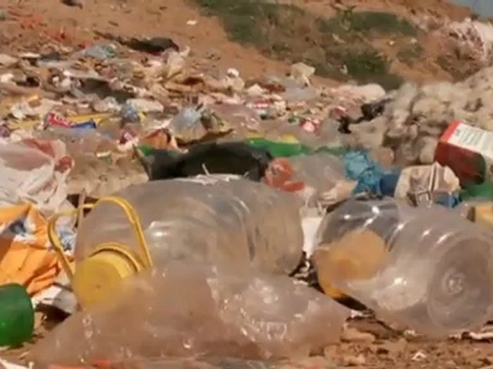 Bedrohtes Naturerbe - wie der Prespa-Nationalpark geschützt wird | Global 3000