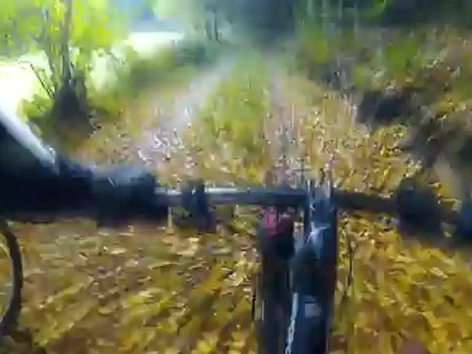 MTB Wasgau marathon 2012