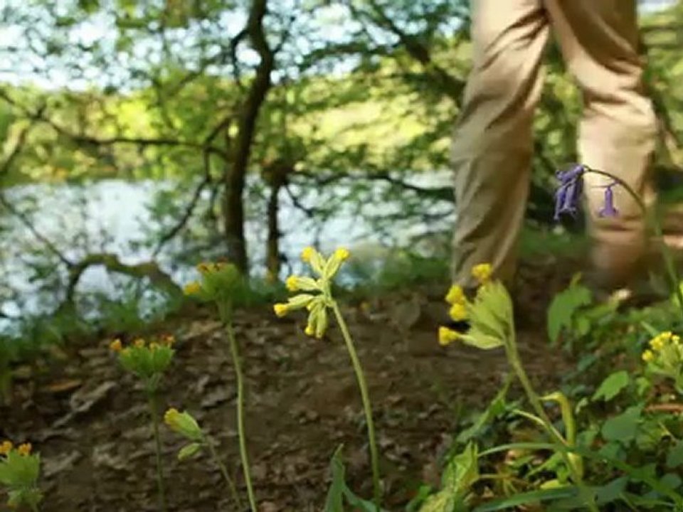 A la Boucle du Pin, une vue imprenable sur la Vallée de la Creuse - Le Berry
