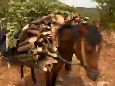 La protección medioambiental trasciende fronteras en el sur de Europa | versión corta | Ideas globales