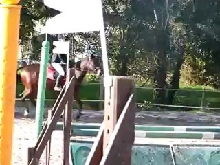 CCE Club 2, Capucine et Baly des Epeires