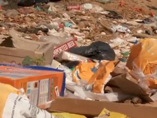 Protecting the Prespa National Park | Global 3000