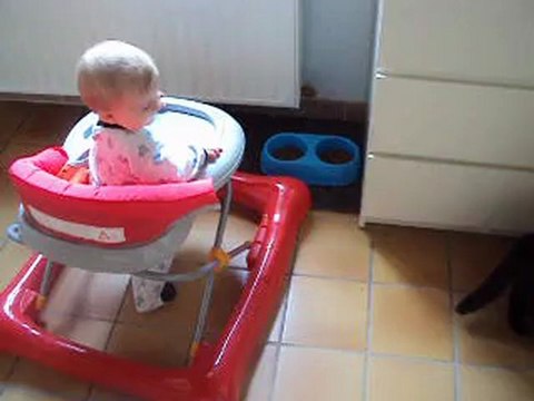 pl trotteur moogly 2