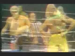 WWE promo oh i am sorry nWo promo