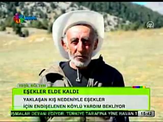 Yeşil Bülten - 29 Ekim 2012