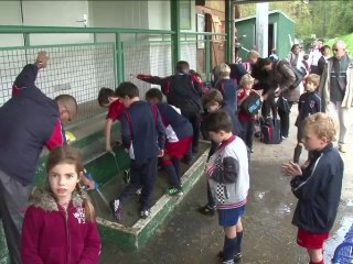Bienvenue Au Club  Stade Français