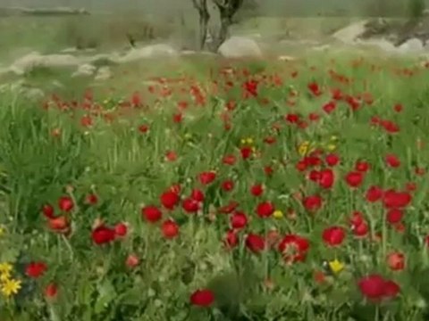 sesliefehan.com Ay Buluta Girmis Gece Yarisi ( Uzun Hava ) Klip 2010