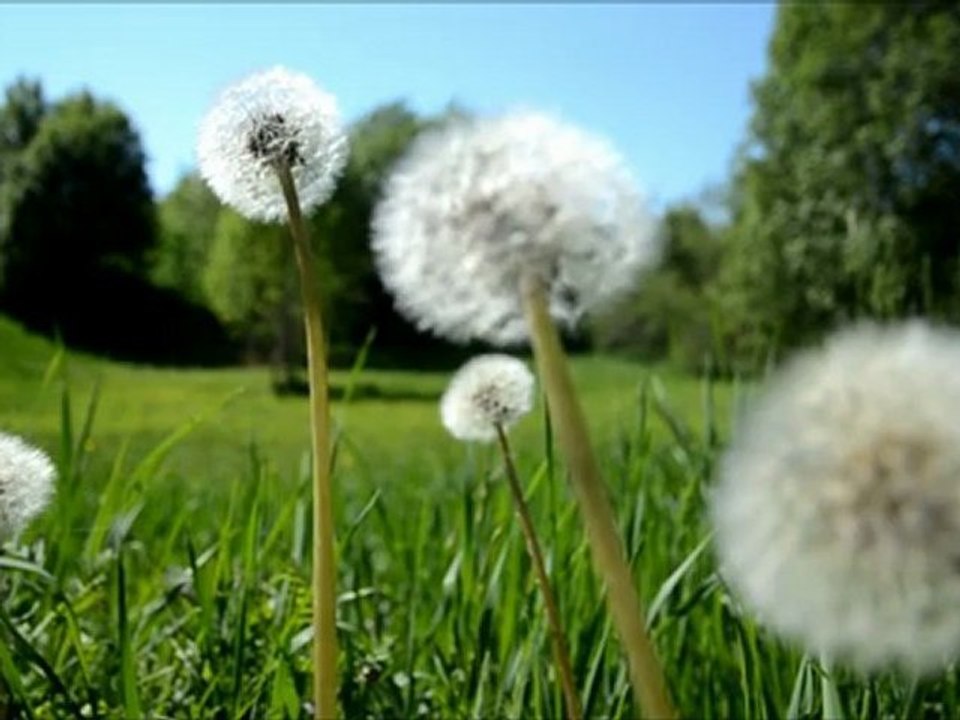 Özdemir Erdoğan - Ayrılık Zor