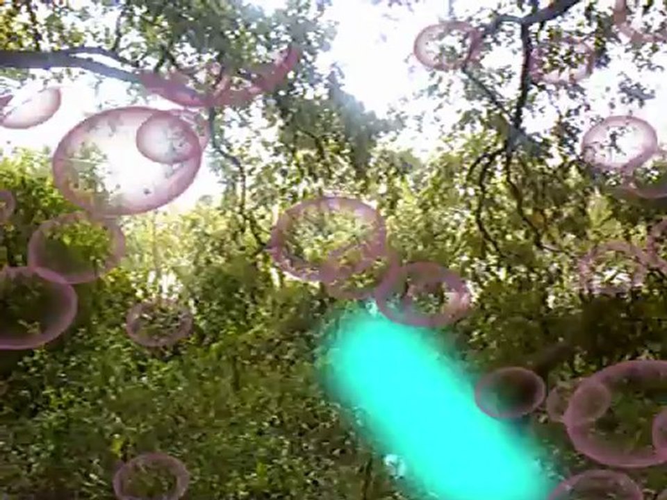 The David Show The  Wizard
