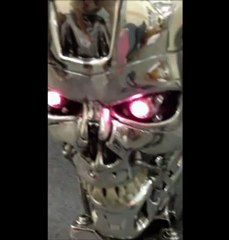 TERMINATOR T-800