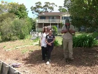 Temporada de serpientes