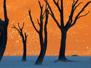 Strange Fruit - Mick Softley - fruit étrange