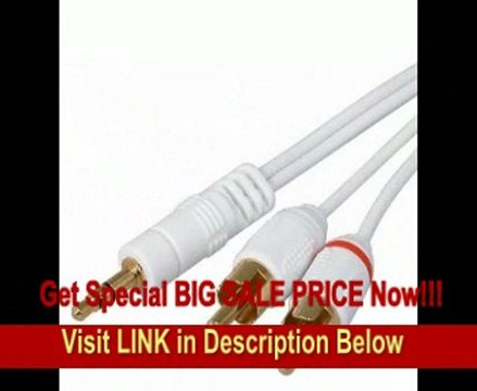 eForCity Audio Stereo Link Y Cable Compatible With all iPod&reg / iPhone&reg 4 / iPod touch&reg 2nd Generation / iPod&reg (video) / iPod nano&reg / iPod nano&reg 4th Generation / iPod&reg photo / iPod&reg mini players / iPod classic&reg / iPod classi