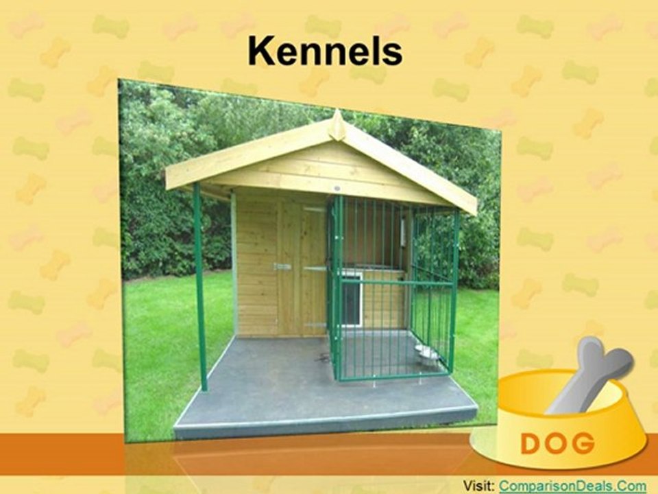 Dog Supplies Buying Guides