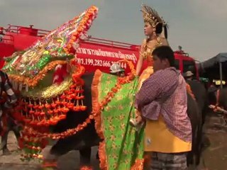 Bare-back buffalo riders race for glory in Thailand