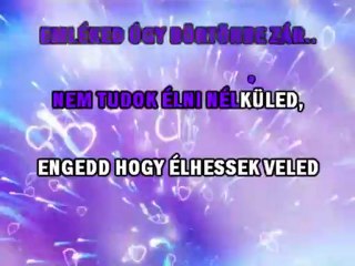 APOSTOL- Nem tudok élni nélküled.remix DEMO karaoke