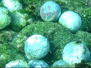 L'Utile, 1761. Esclaves oubliés