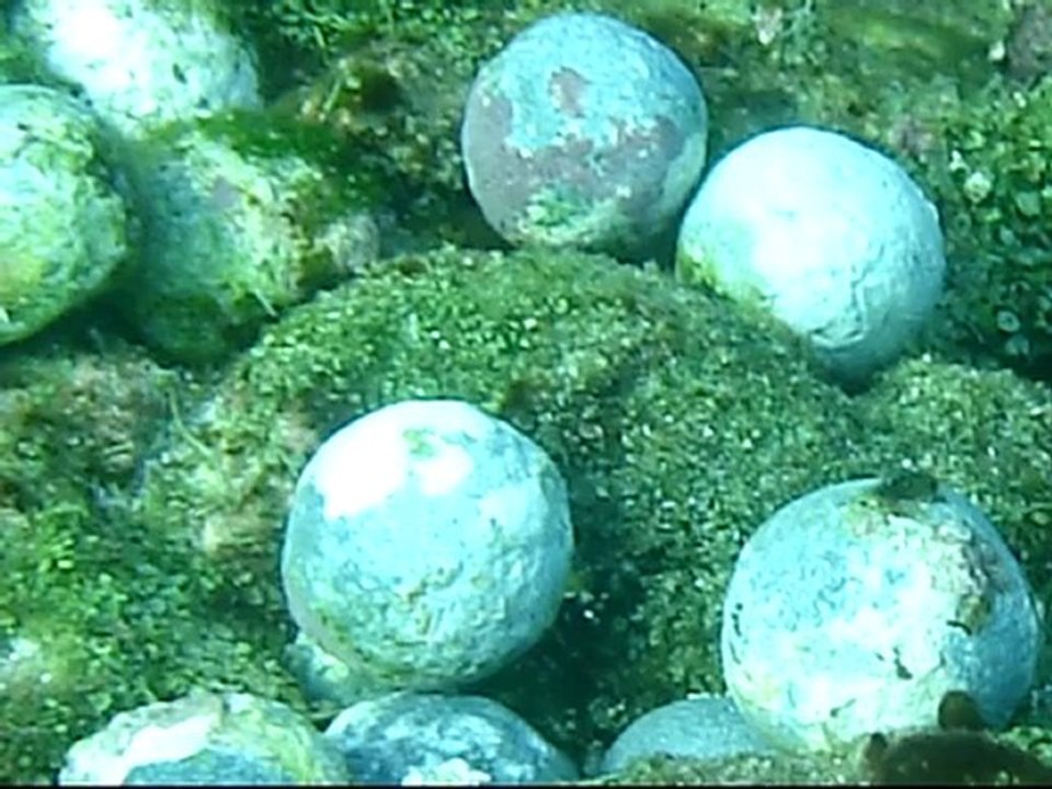 L'Utile, 1761. Esclaves oubliés