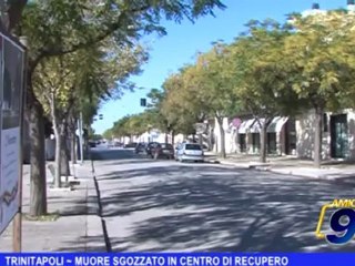 Trinitapoli | Muore sgozzato in centro di recupero