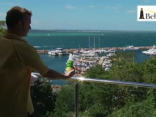 Professional home cleaning services