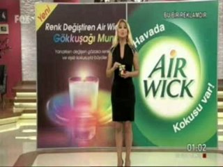 SGB 31 WWWNEBUAMKNET