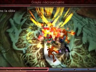 Heroes of Ruin - Extrait : La Forêt ancestrale