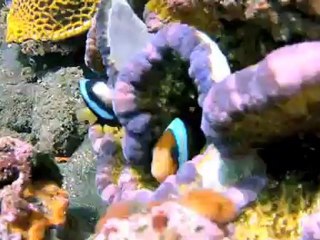 Jour 92 - Indonésie