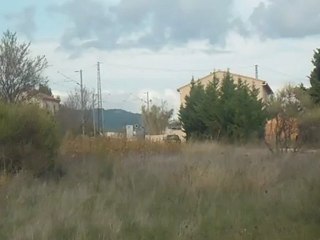 ter la ruol puget ville(4)