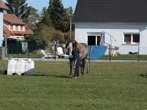 Joc saut en longe courte