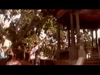 Danyssel cartas amarillas