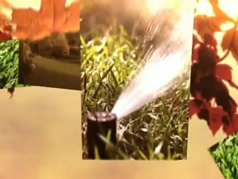 Tree of Life Landscaping Inc - (360) 878-0607