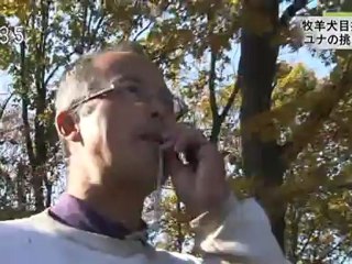 20121031 0a