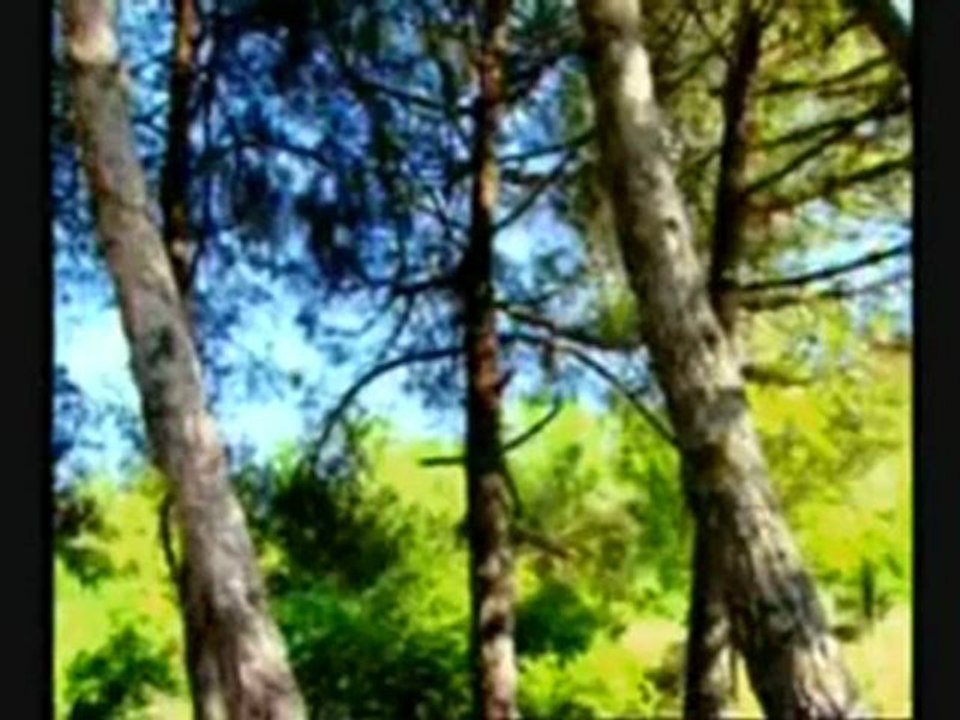 Mahmut Sami Ramazanoğlu Hz. Belgeseli 3.Bölüm Ahlak ve Şemaili - MilletiminSesi.Org
