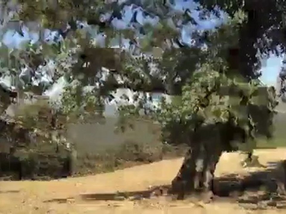 Neue Motorrädern von Husqvarna | Motor mobil