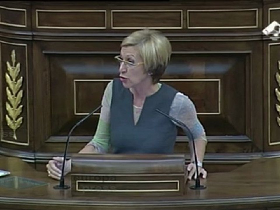 Díez cree que el Consejo Europeo "ha retrocedido"