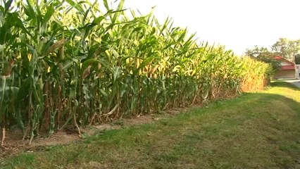 Europa Octubre 31 de 2012 web